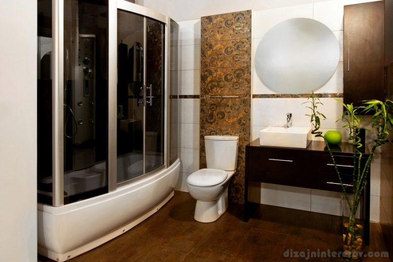 Interior shot of bathroom with shower spa