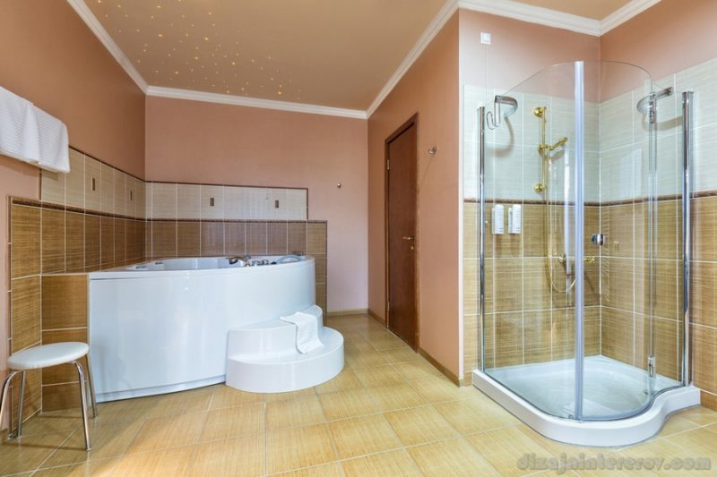 Interior of a bathroom with jacuzzi and shower